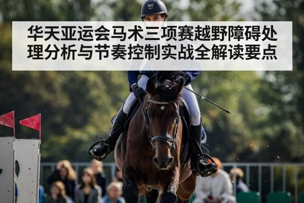 equestrian eventing rider